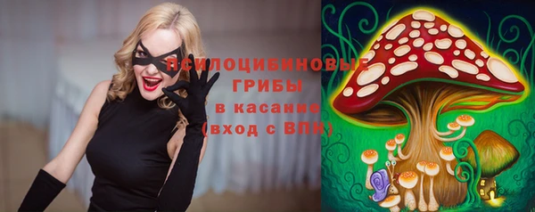 бошки Заводоуковск