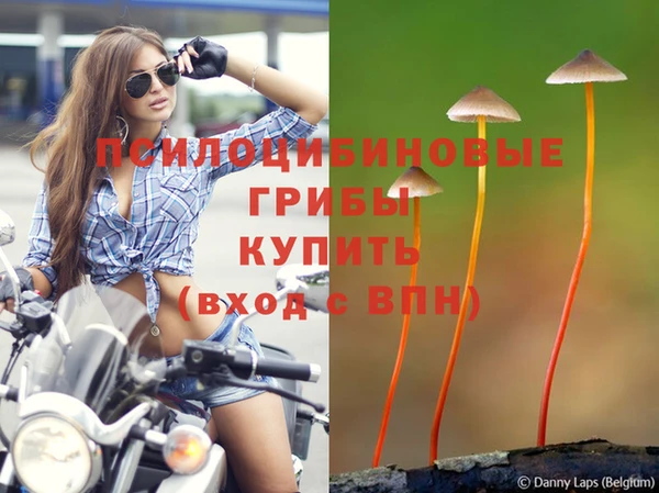 бошки Заводоуковск