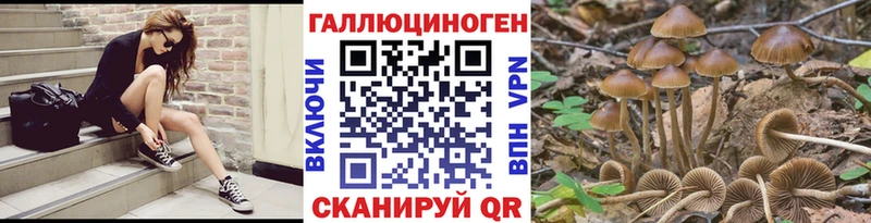 Псилоцибиновые грибы Psilocybe  Инта 